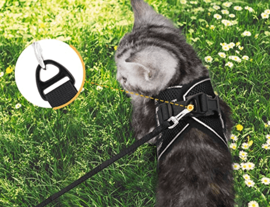 Lisslune | ADVENTURE HARNESS – Escape-proof cat harness with leash & reflective elements