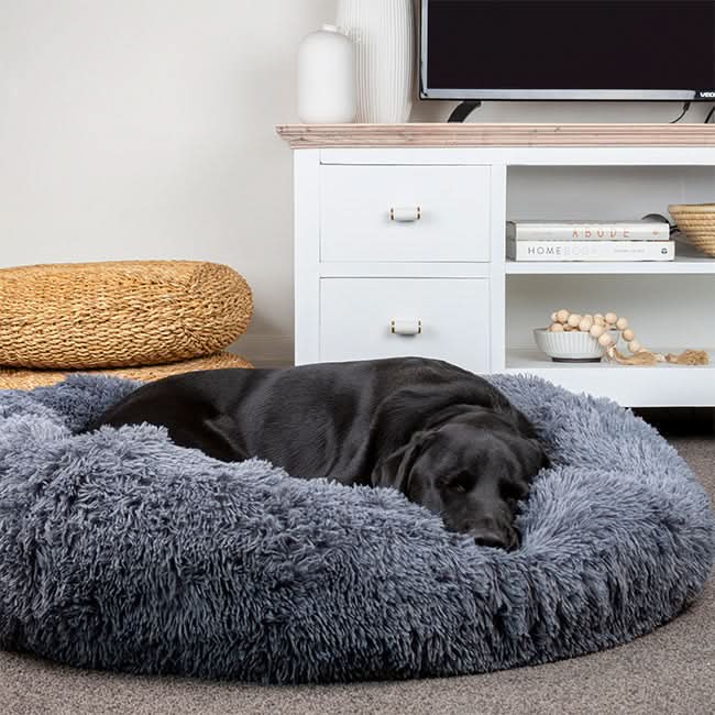Lisslune | FUZZYPLUSH – Orthopedic Plush Dog Bed for Deep Sleep