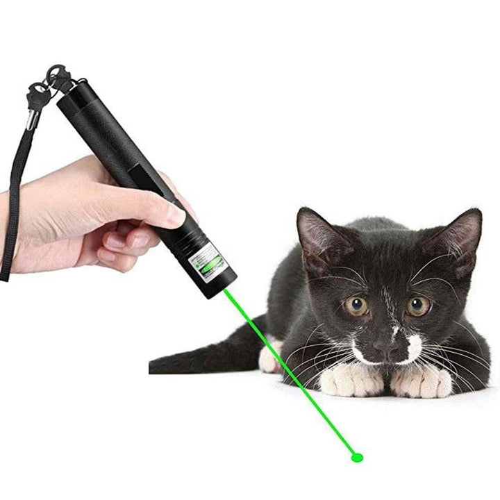 Lisslune | High-performance Laser Pointer 303