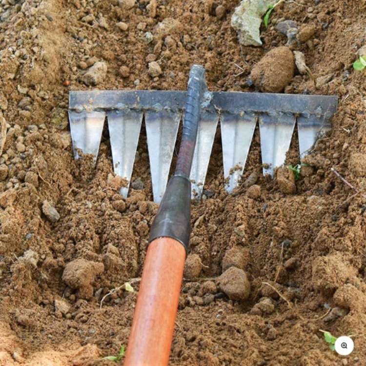 Lisslune | Steel Garden Rake | Heavy-Duty Stainless Steel with Deep-Penetrating Tines for Effortless Weeding and Lawn Care
