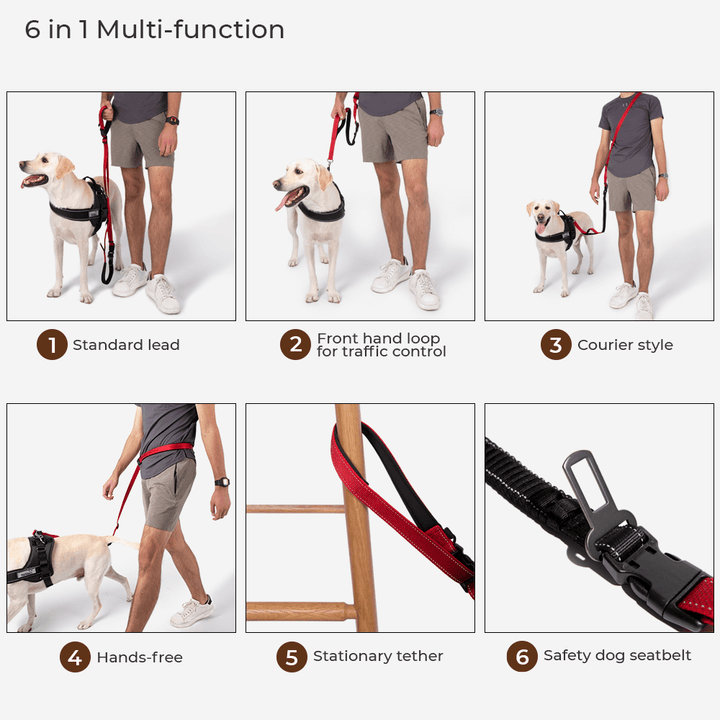 Lisslune | Reflective All-Weather Waterproof Cool Dog Accessories Raincoat