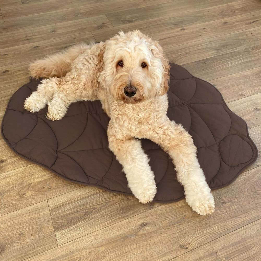 Lisslune | Leafnest – Leaf-Shaped Dog Blanket for Comfort & Style