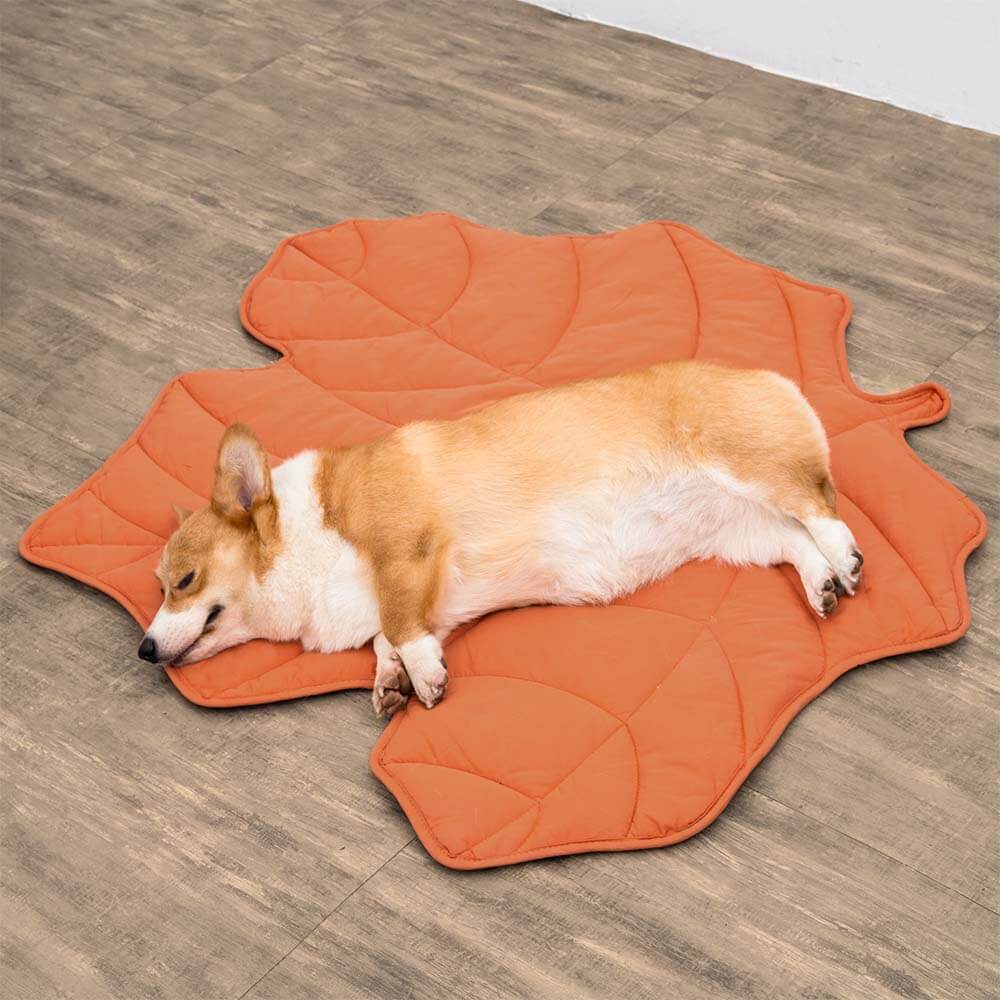 Lisslune | Leafnest – Leaf-Shaped Dog Blanket for Comfort & Style