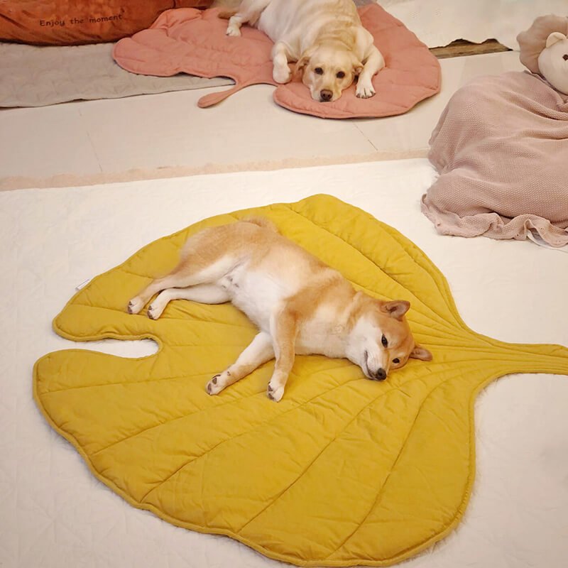 Lisslune | Leafnest – Leaf-Shaped Dog Blanket for Comfort & Style