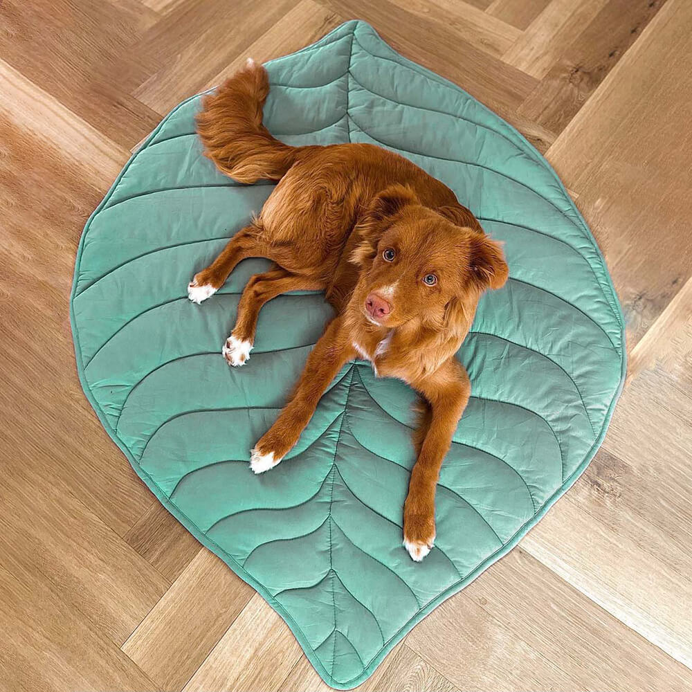 Lisslune | Leafnest – Leaf-Shaped Dog Blanket for Comfort & Style
