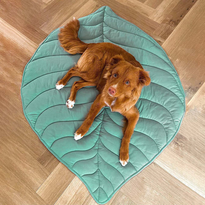Lisslune | Leafnest – Leaf-Shaped Dog Blanket for Comfort & Style