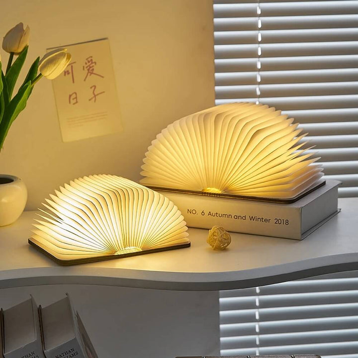 Lisslune | LED book table lamp