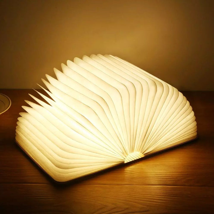 Lisslune | LED book table lamp