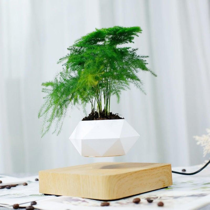 Lisslune | Floating Air Bonsai Pot