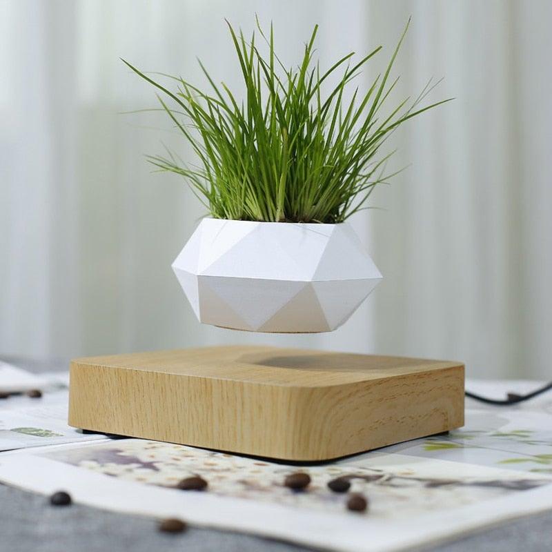 Lisslune | Floating Air Bonsai Pot