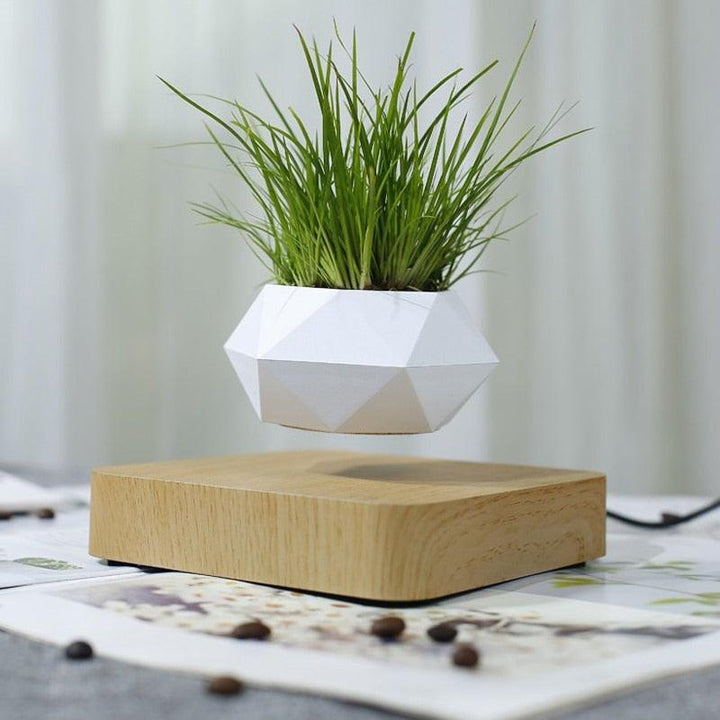 Lisslune | Floating Air Bonsai Pot