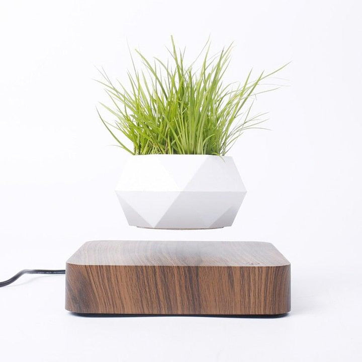 Lisslune | Floating Air Bonsai Pot