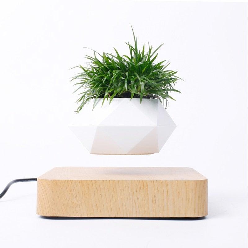 Lisslune | Floating Air Bonsai Pot