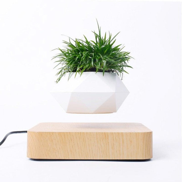 Lisslune | Floating Air Bonsai Pot
