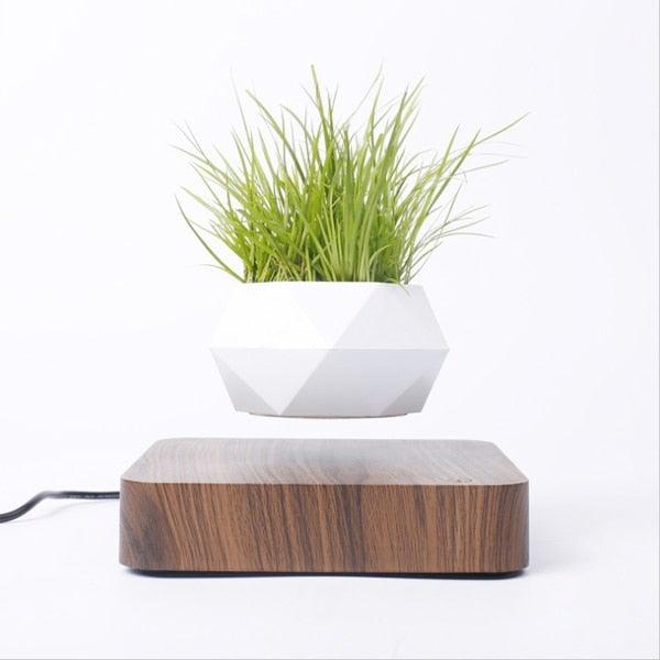 Lisslune | Floating Air Bonsai Pot