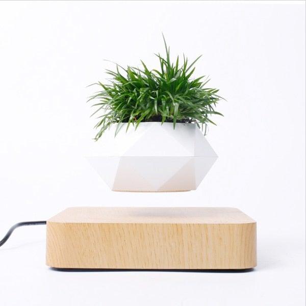 Lisslune | Floating Air Bonsai Pot