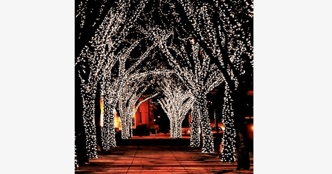 Lisslune | LED Fairy Lights – Decorate with stylish lights!