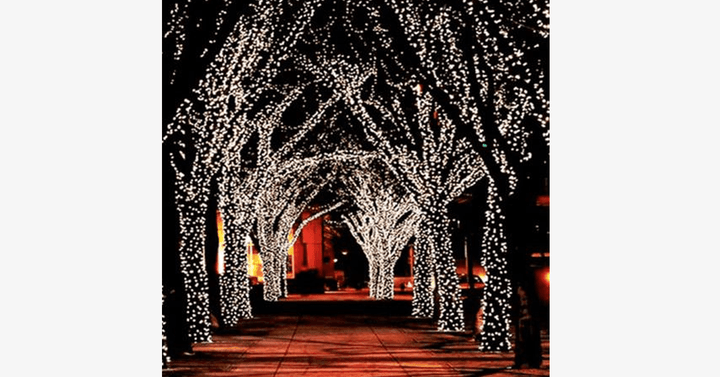 Lisslune | LED Fairy Lights – Decorate with stylish lights!