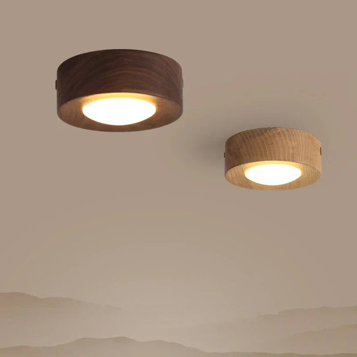 Lisslune | LignaShine – Natural Walnut Wood Ambient Light