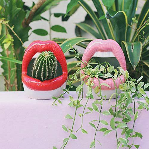 Lisslune | Lips Flower Pot