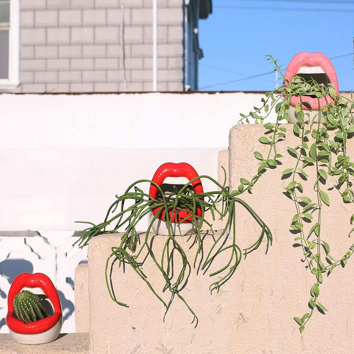 Lisslune | Lips Flower Pot
