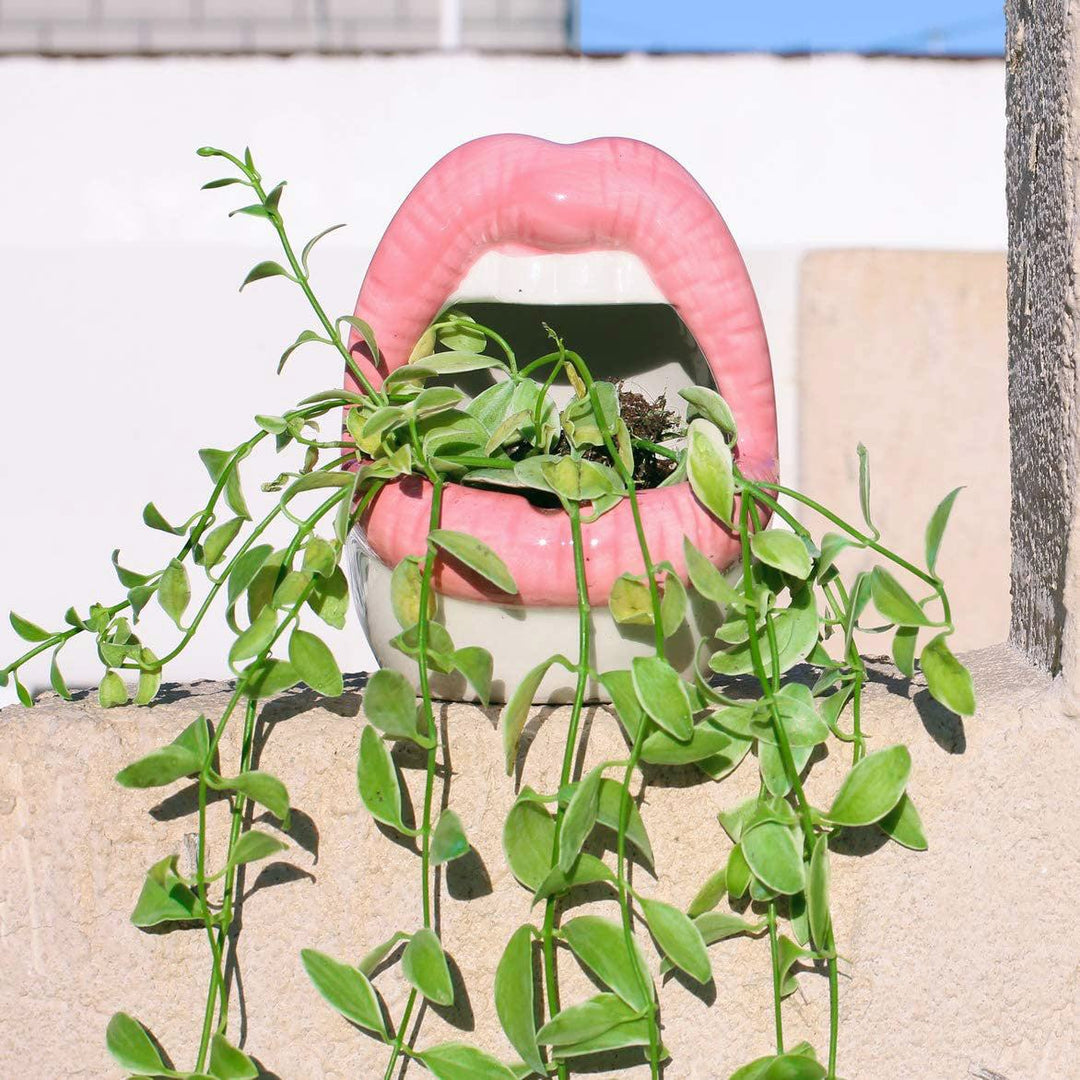 Lisslune | Lips Flower Pot