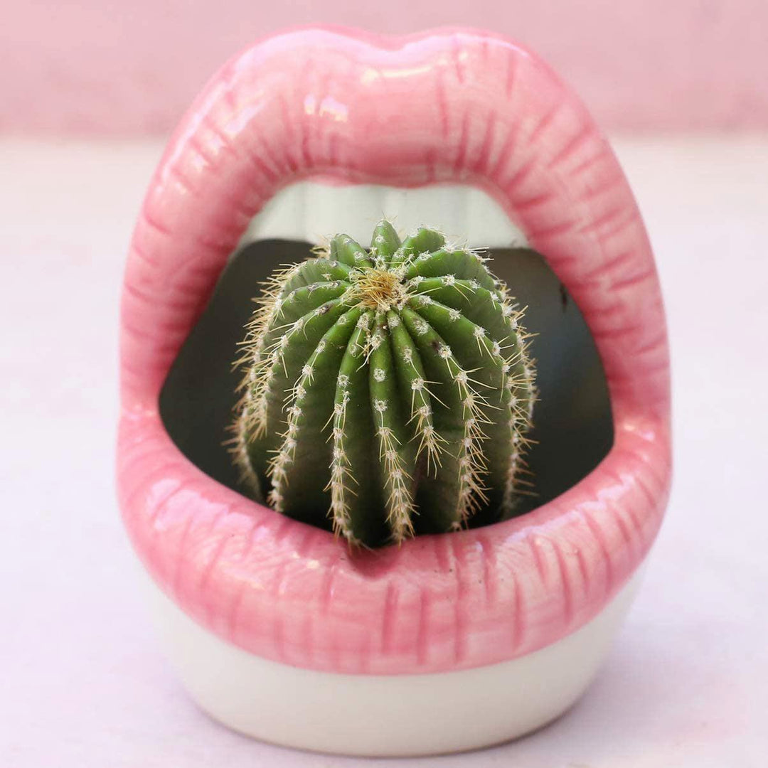 Lisslune | Lips Flower Pot