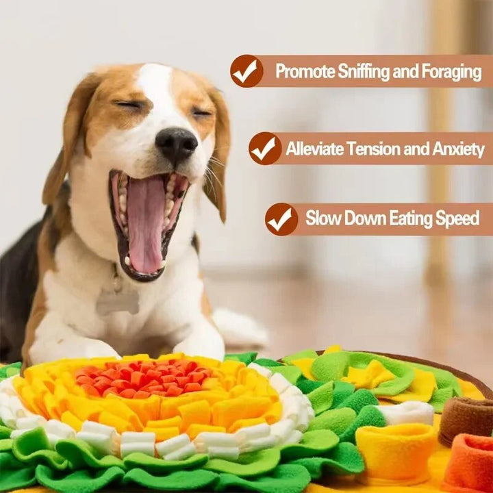 Lisslune | Snuffle Mat for Dogs