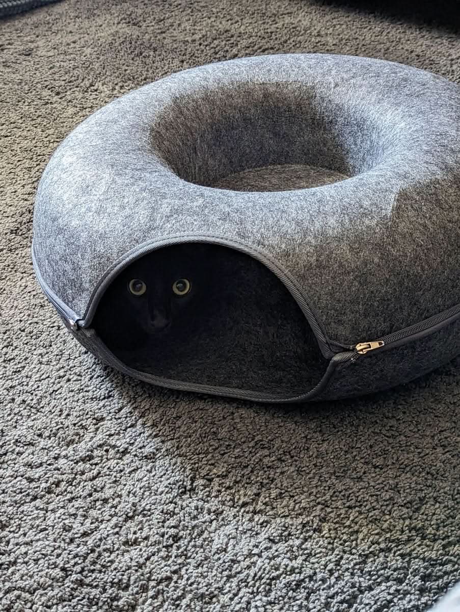 Lisslune | PURRFECT DEN – Luxury Cat Tunnel with Sleeping Cave & Play Fun