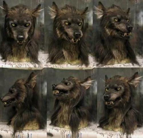Lisslune | LUPINMASK – Realistic Werewolf Mask for Halloween & Cosplay