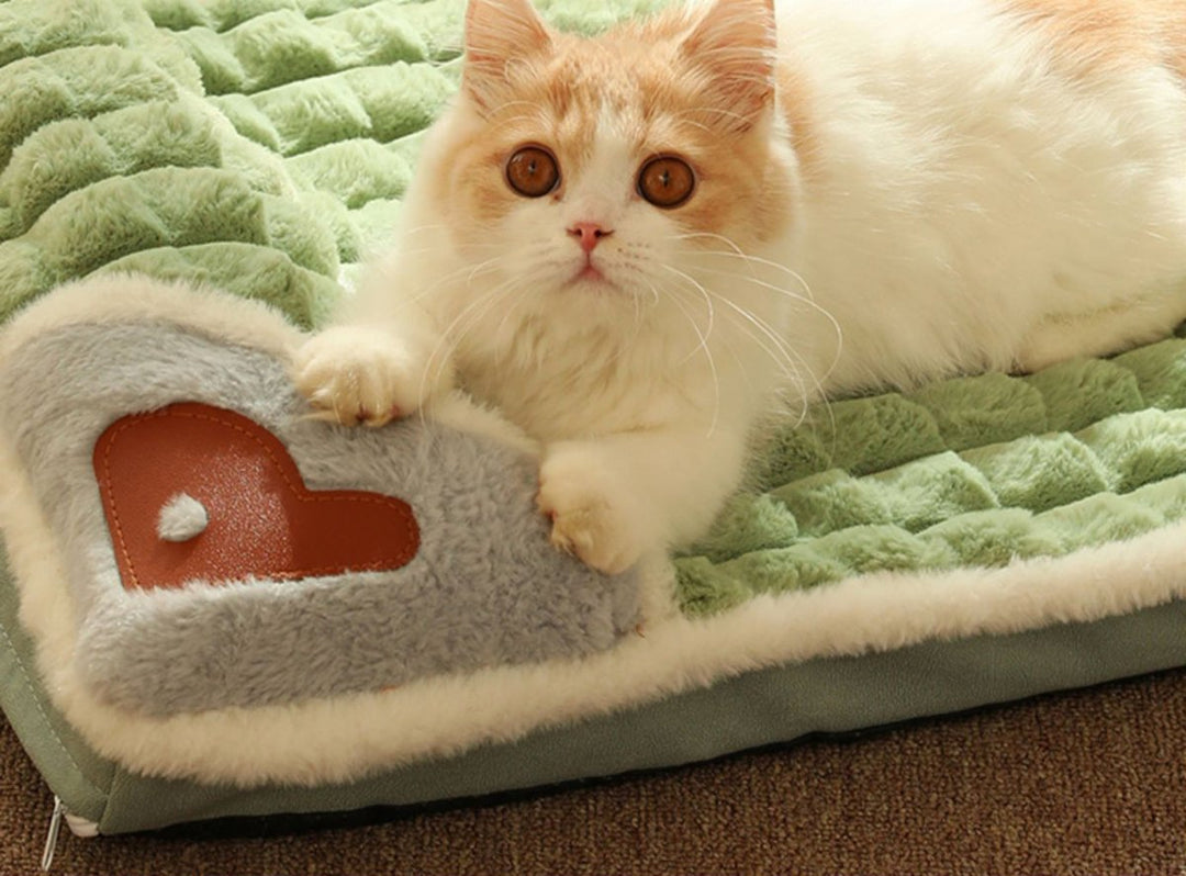 Lisslune | LUXEPLUSH – Premium Plush Dog Bed for Small to Medium Dogs