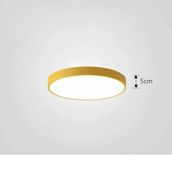 Lisslune | Ceiling Light ChromaCraft