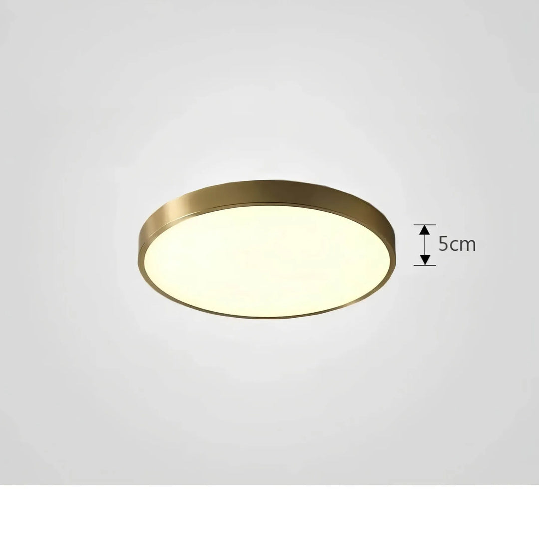 Lisslune | Ceiling Light ChromaCraft
