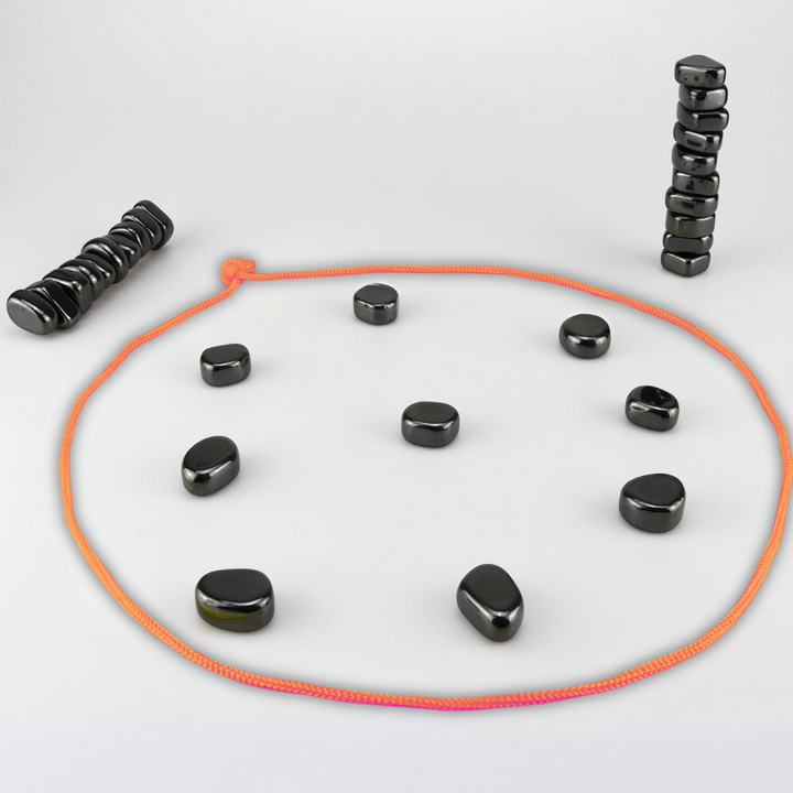 Lisslune | Magnetic Travel Chess Set for Smart Entertainment - CheckMate