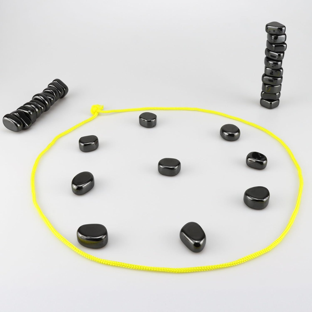 Lisslune | Magnetic Travel Chess Set for Smart Entertainment - CheckMate