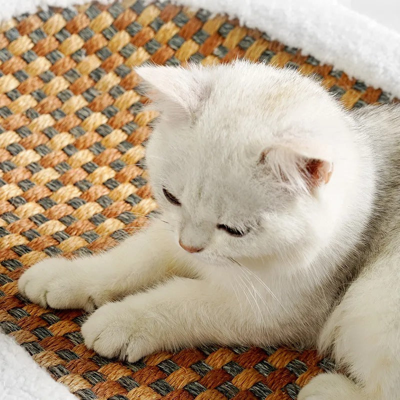 Lisslune | Premium Cat Bed with Integrated Scratching Board