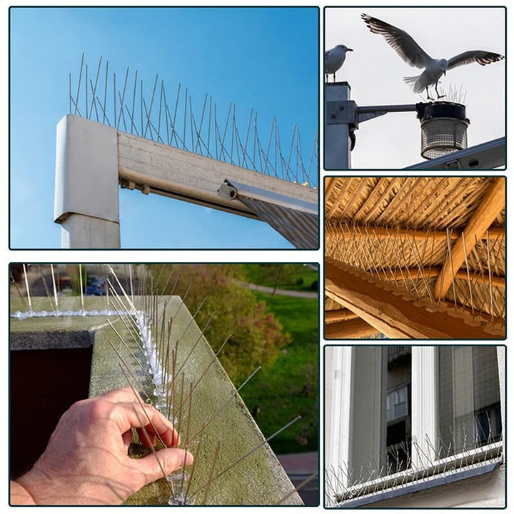 Lisslune | 1PC Stainless Steel Pigeon Spikes And Bird Repeller Deterrent 25cm Balcony Anti-bird Repellent Thorn Nail Kit Pest Control