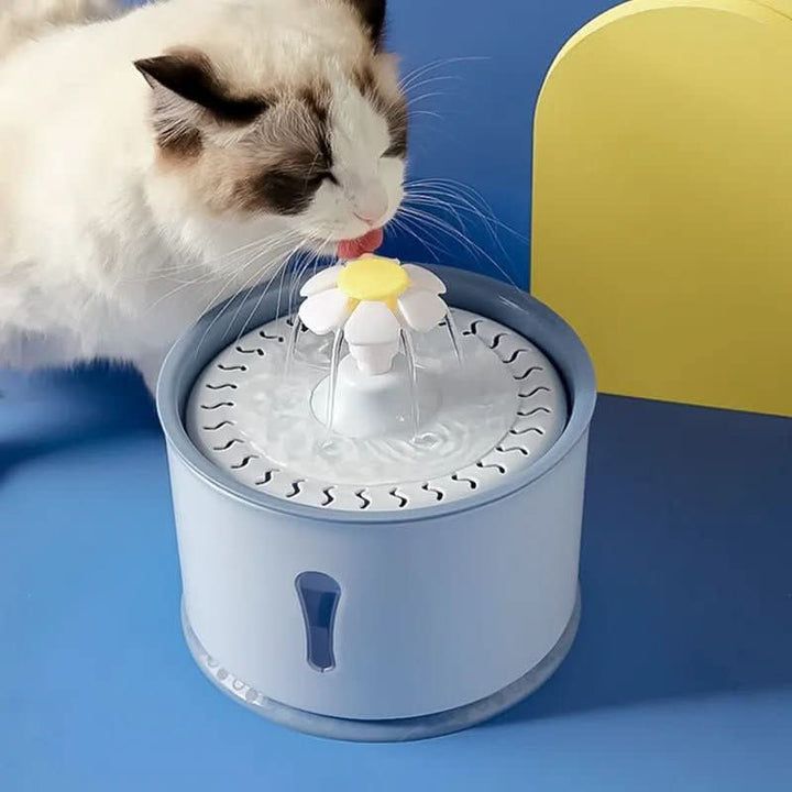 Lisslune | Automatic drinking fountain for fresh water & healthy hydration