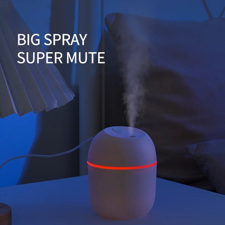 Lisslune | Egg Shape Nano Portable Mist Humidifier