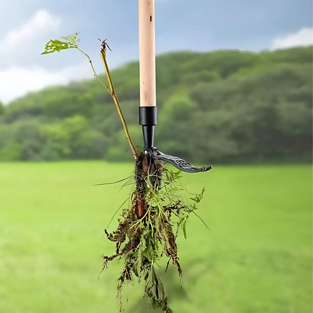 Lisslune | Ergonomic Weeding Tool | High-Strength Steel Claws for Effortless Weed Removal in Gardens