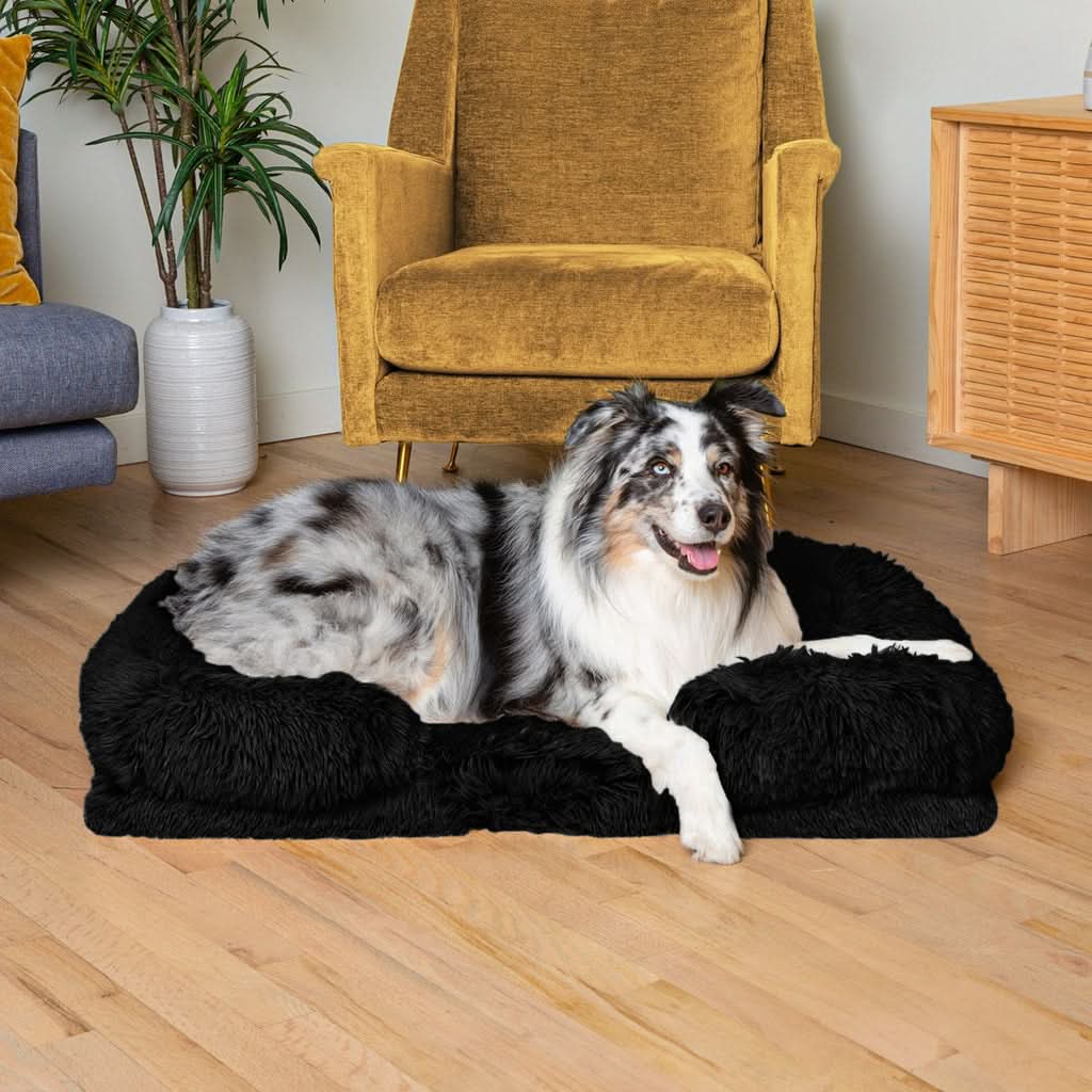 Lisslune | SNUGPAW - Orthopedic Dog Bed