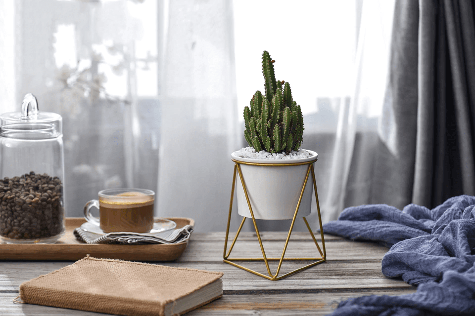 Lisslune | LIVIA – Elegant flower pot for stylish decoration