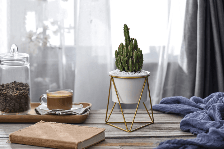 Lisslune | LIVIA – Elegant flower pot for stylish decoration