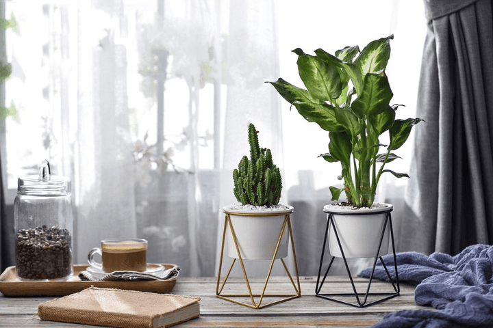 Lisslune | LIVIA – Elegant flower pot for stylish decoration
