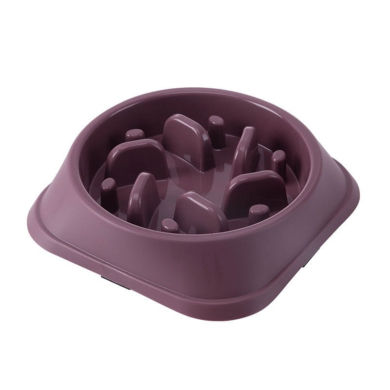 Lisslune | NIBBLEMATE – Anti-Gulp Bowl for Healthy Eating in Dogs & Cats