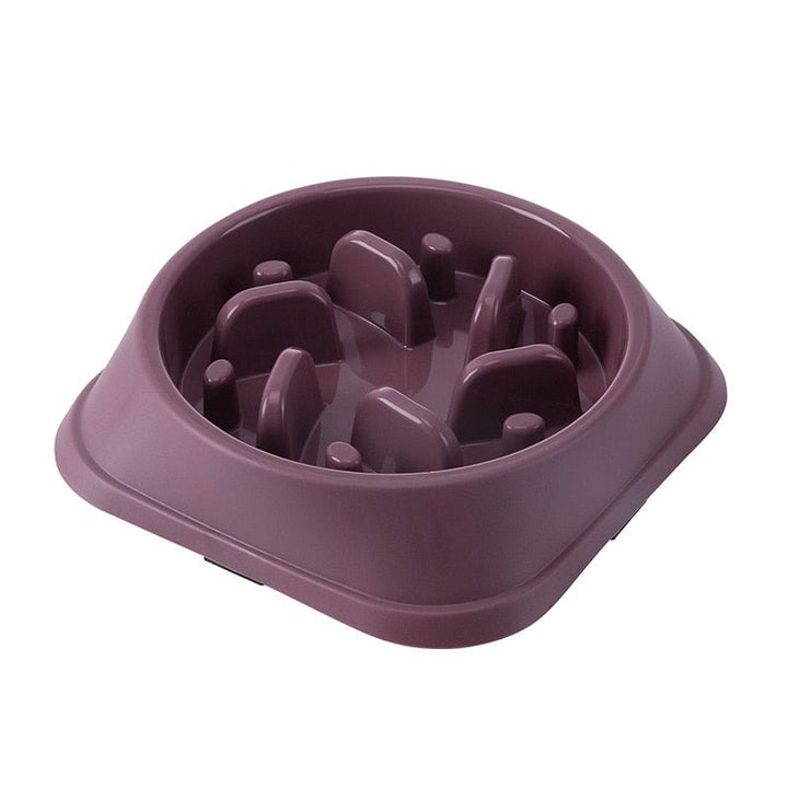 Lisslune | NIBBLEMATE – Anti-Gulp Bowl for Healthy Eating in Dogs & Cats