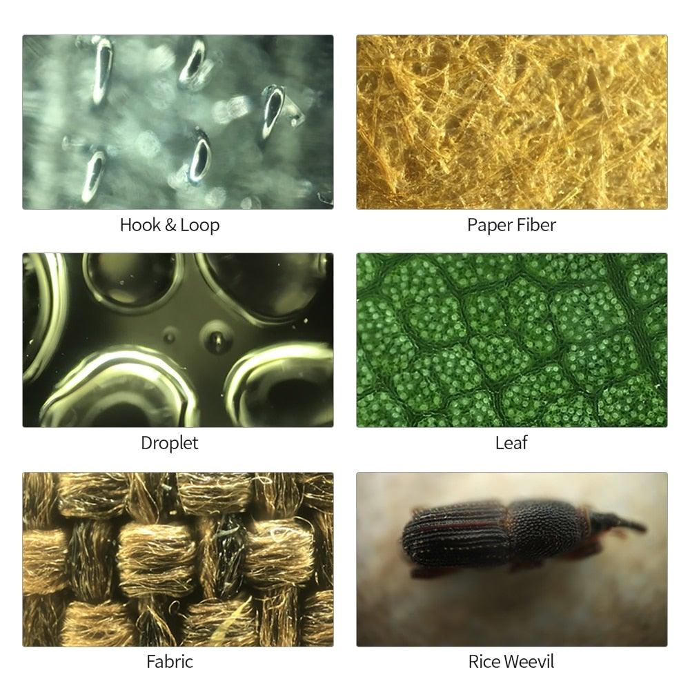 Lisslune | Mobile Phone Microscope