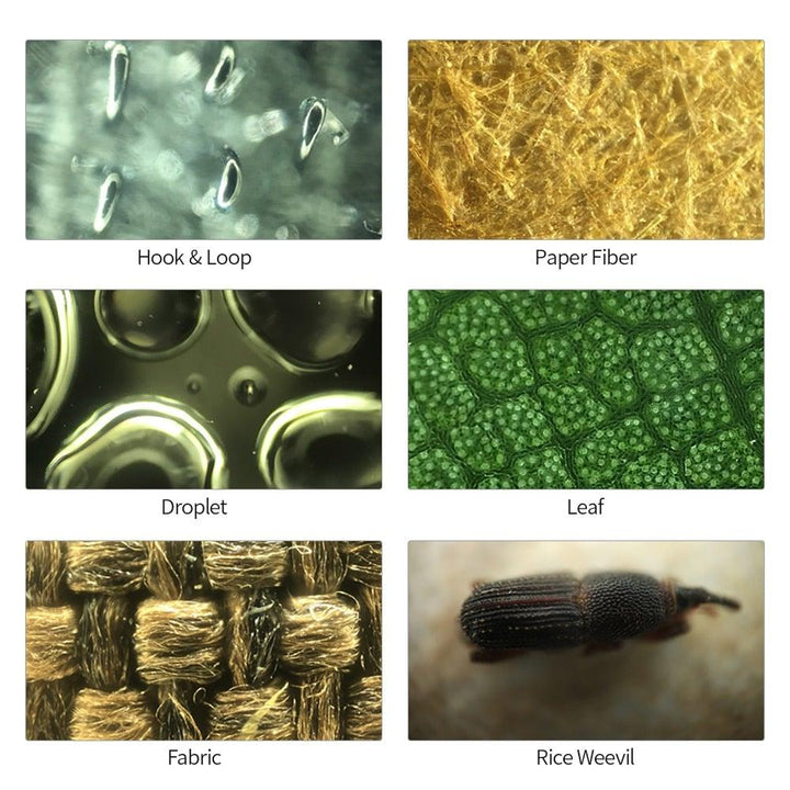 Lisslune | Mobile Phone Microscope