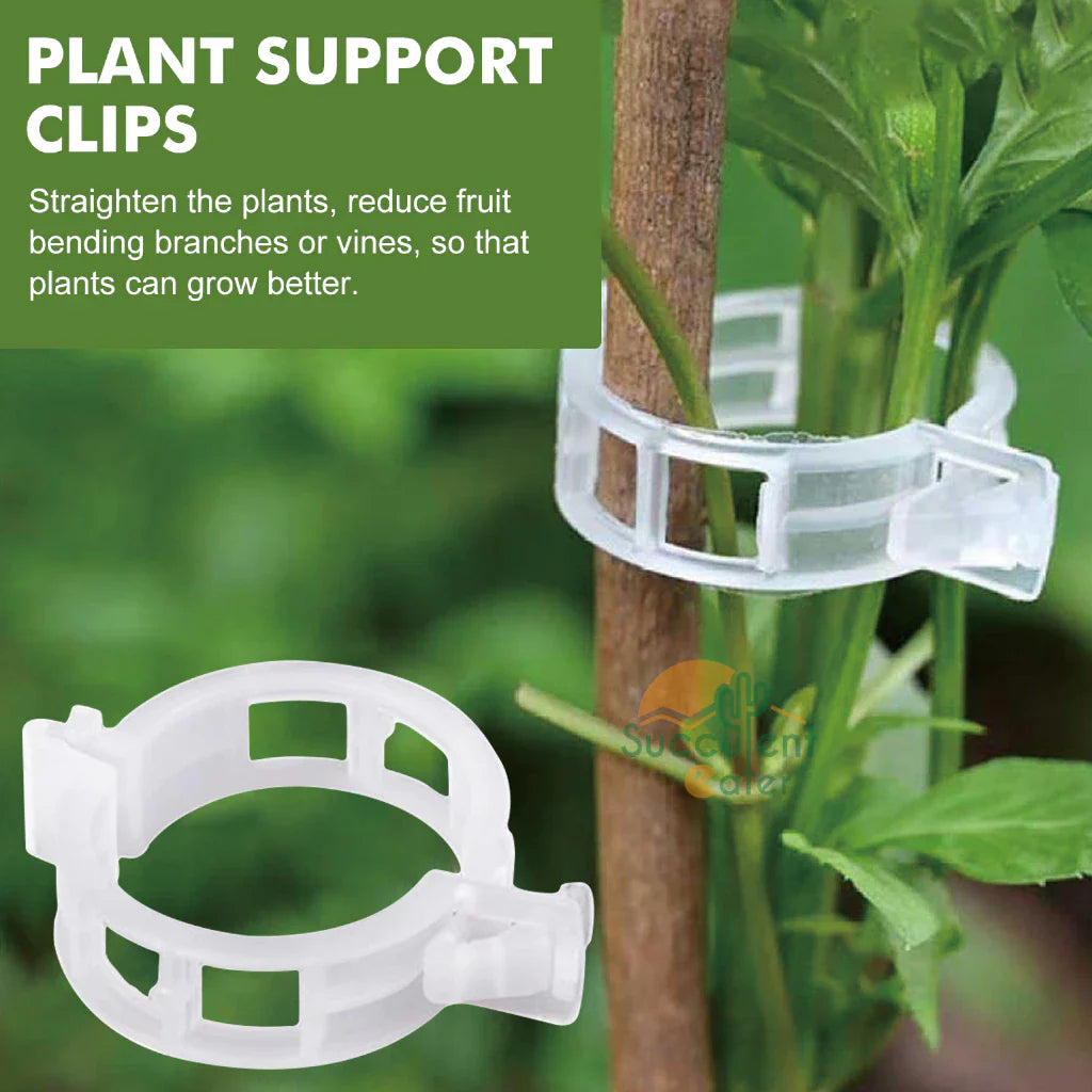 Lisslune | Plant support clip for climbing plants – Flexible holder for plant stems