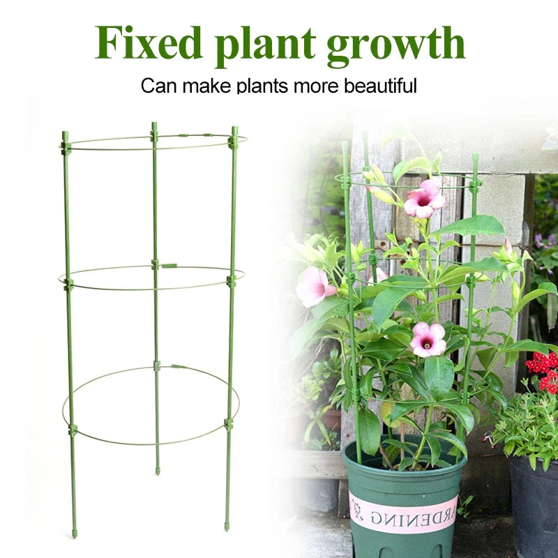 Lisslune | Climbing frame for plants – Sturdy support ring frame for climbing plants
